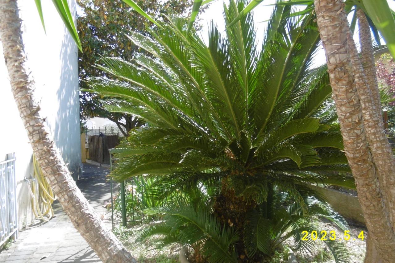 rez de chaussée studio climatisé dans villa Aigues-Mortes Exterior foto