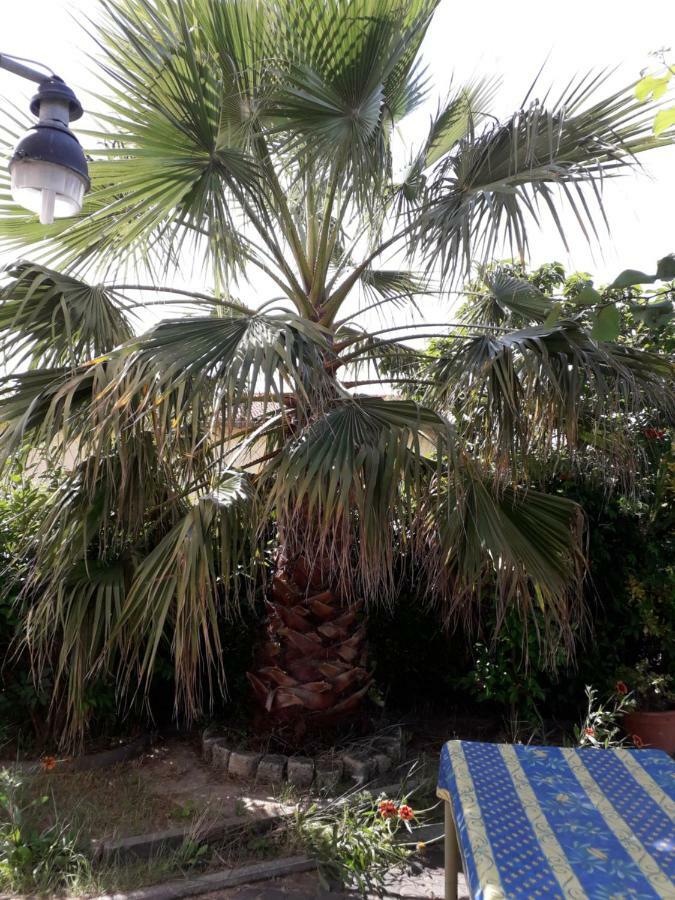 rez de chaussée studio climatisé dans villa Aigues-Mortes Exterior foto
